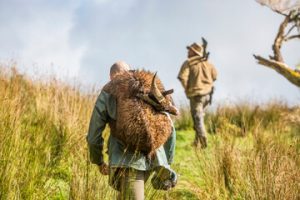 Basic Hunting